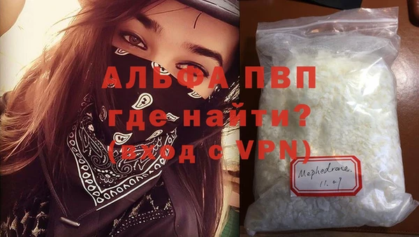 прущие грибы Осинники
