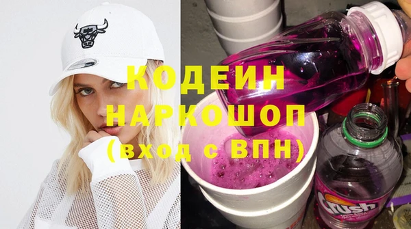 прущие грибы Осинники