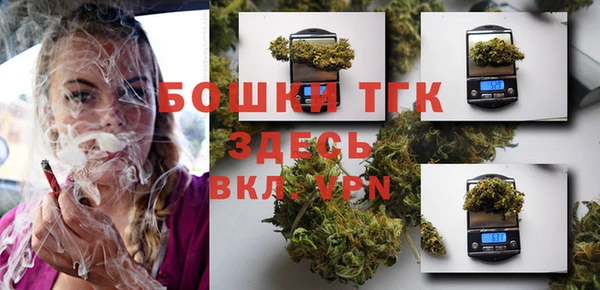 прущие грибы Осинники