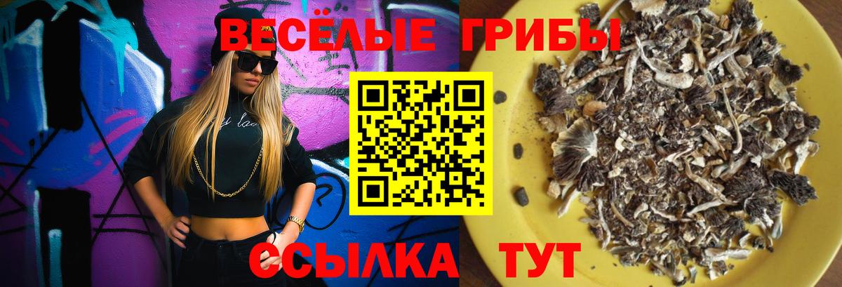 Красноуфимск  Галлюциногенные грибы Psilocybine cubensis  Вход с VPN 