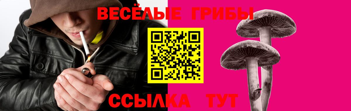 Галлюциногенные грибы MAGIC MUSHROOMS Красноуфимск